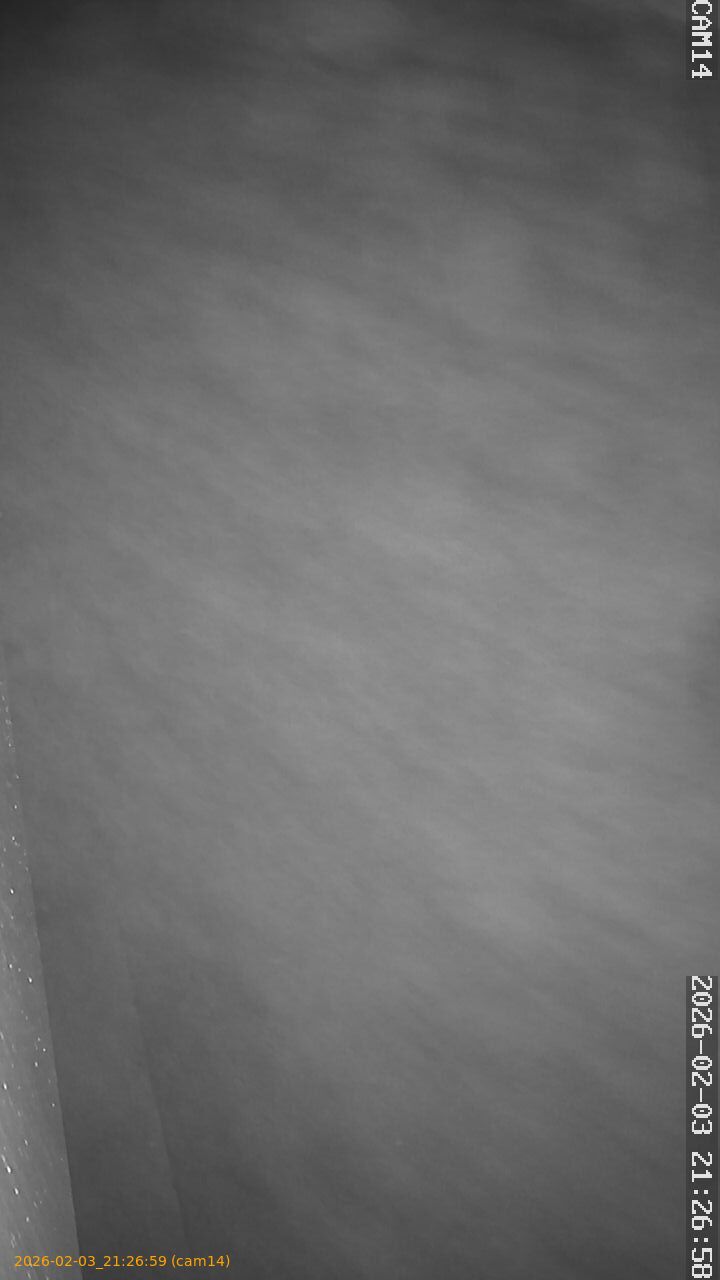 thumbnail_202602032126