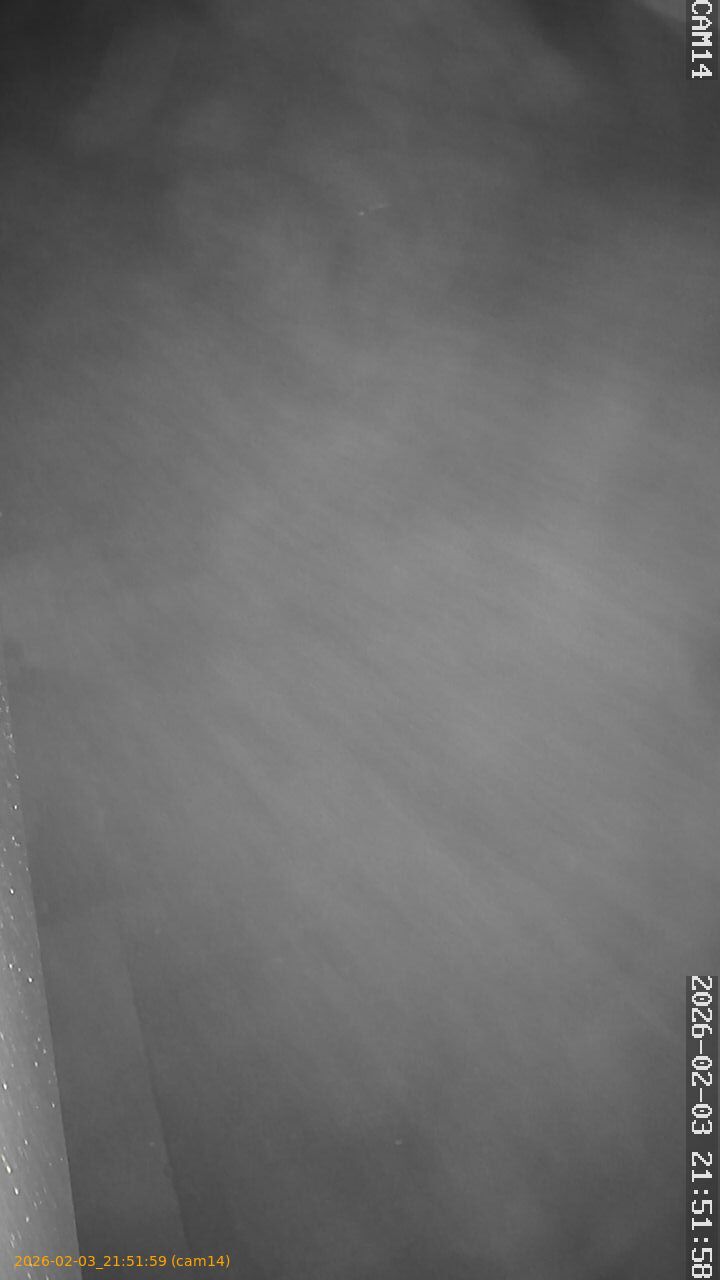 thumbnail_202602032151