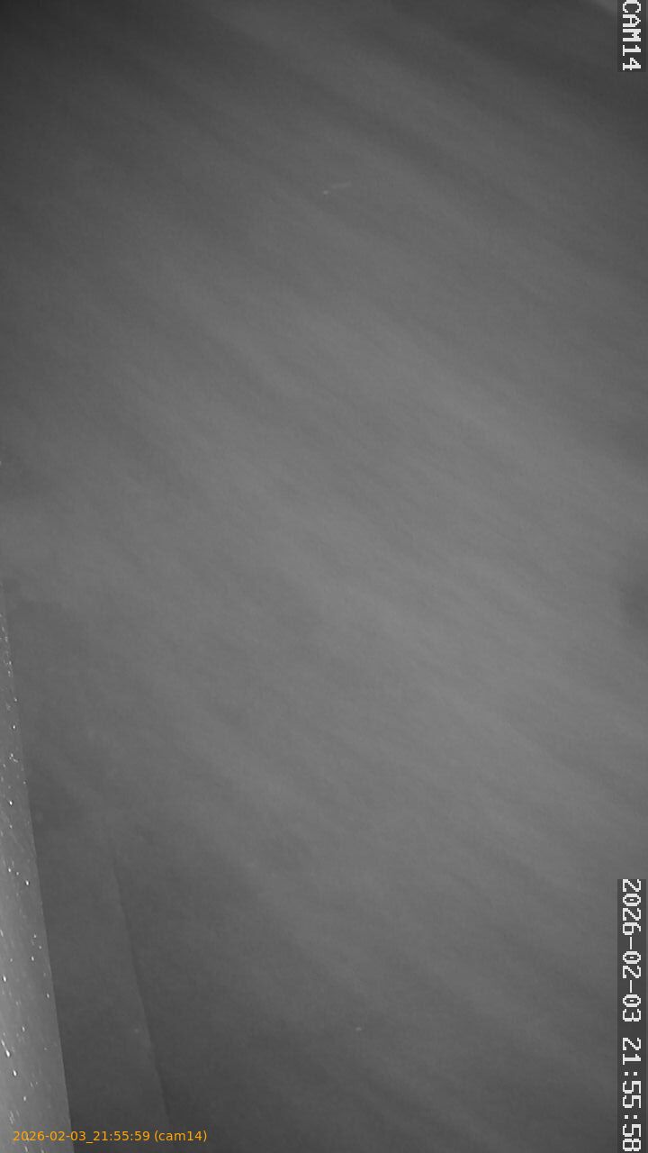 thumbnail_202602032155