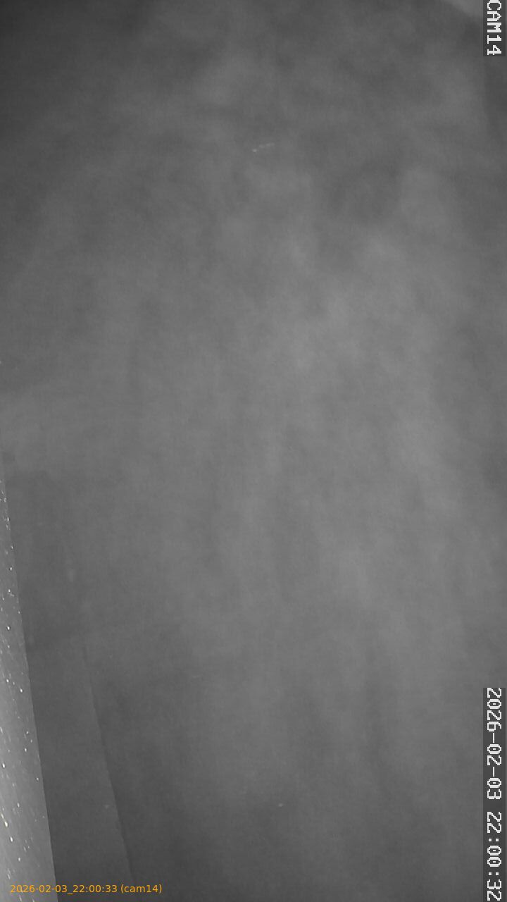 thumbnail_20260203220033