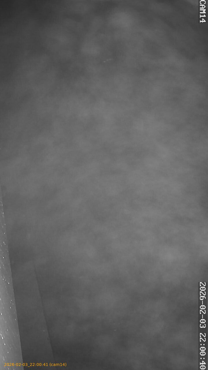 thumbnail_20260203220041