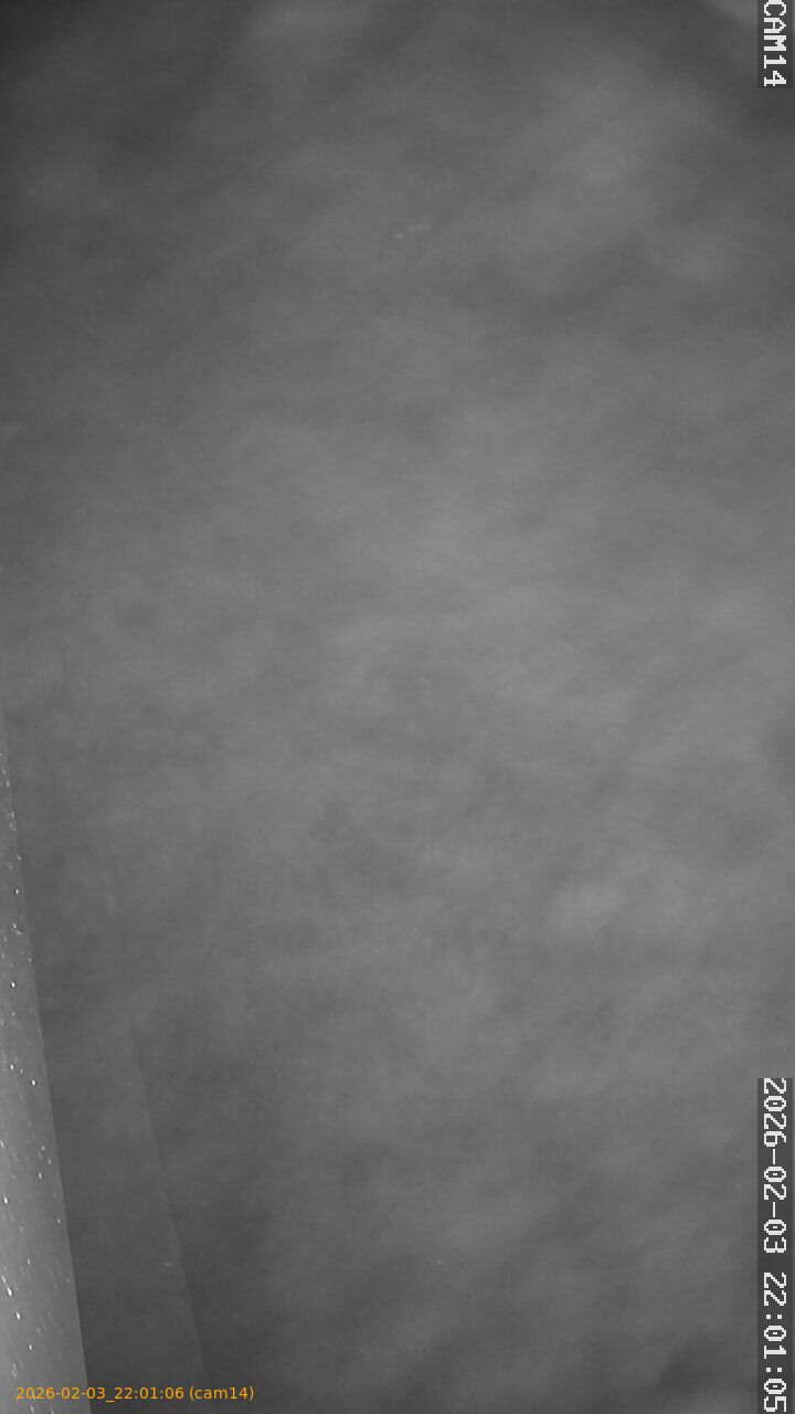 thumbnail_20260203220106