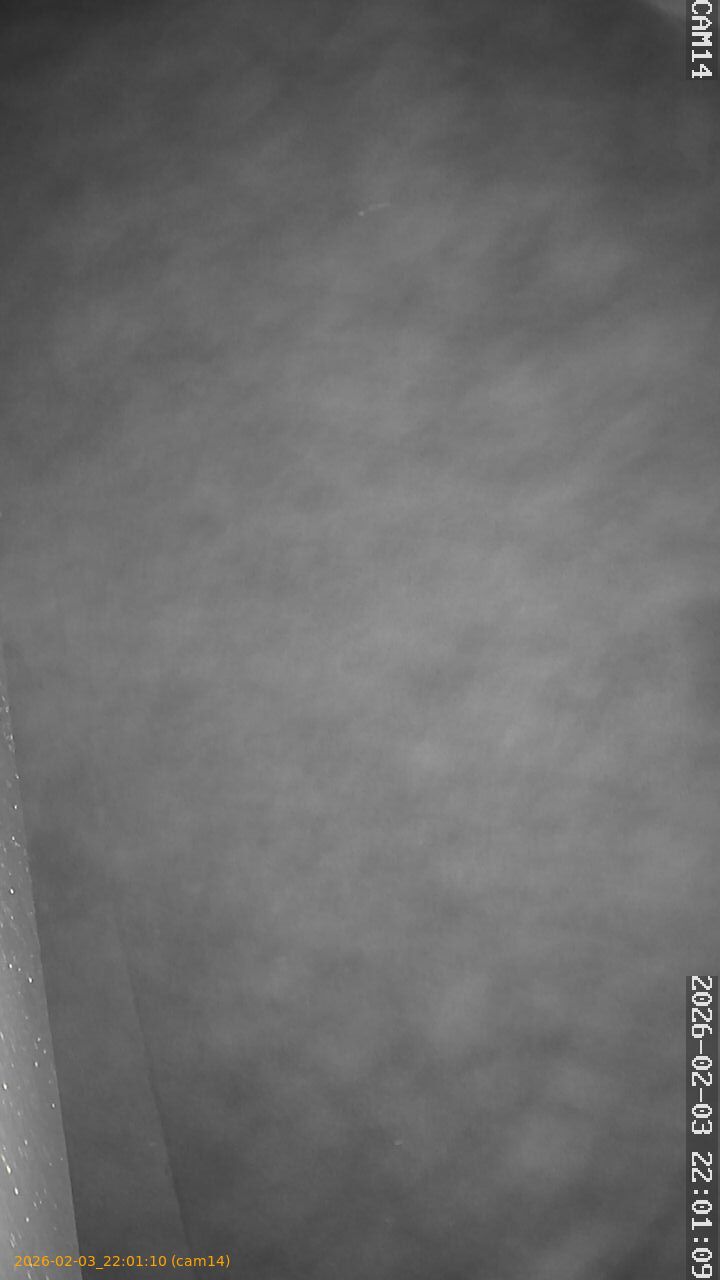 thumbnail_20260203220110