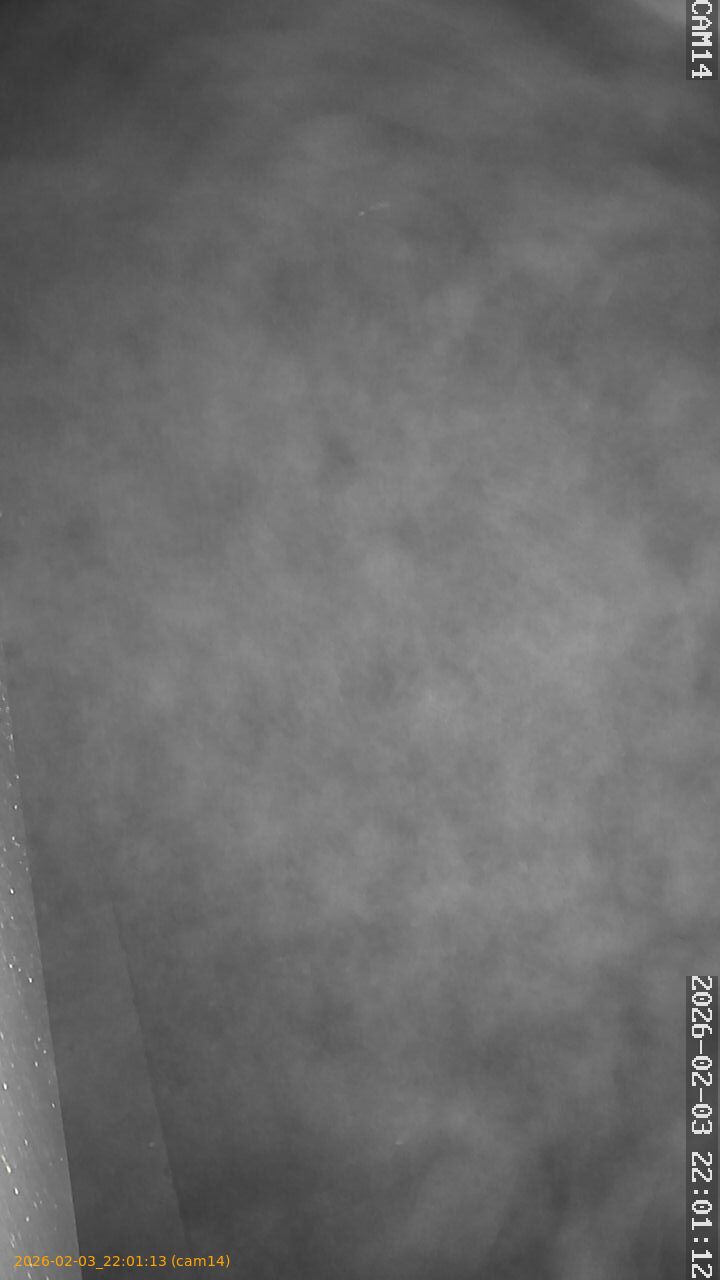 thumbnail_20260203220113