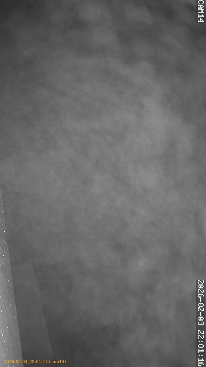 thumbnail_20260203220117