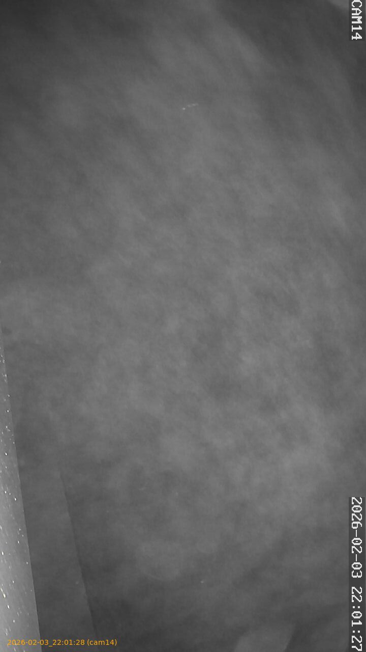 thumbnail_20260203220128