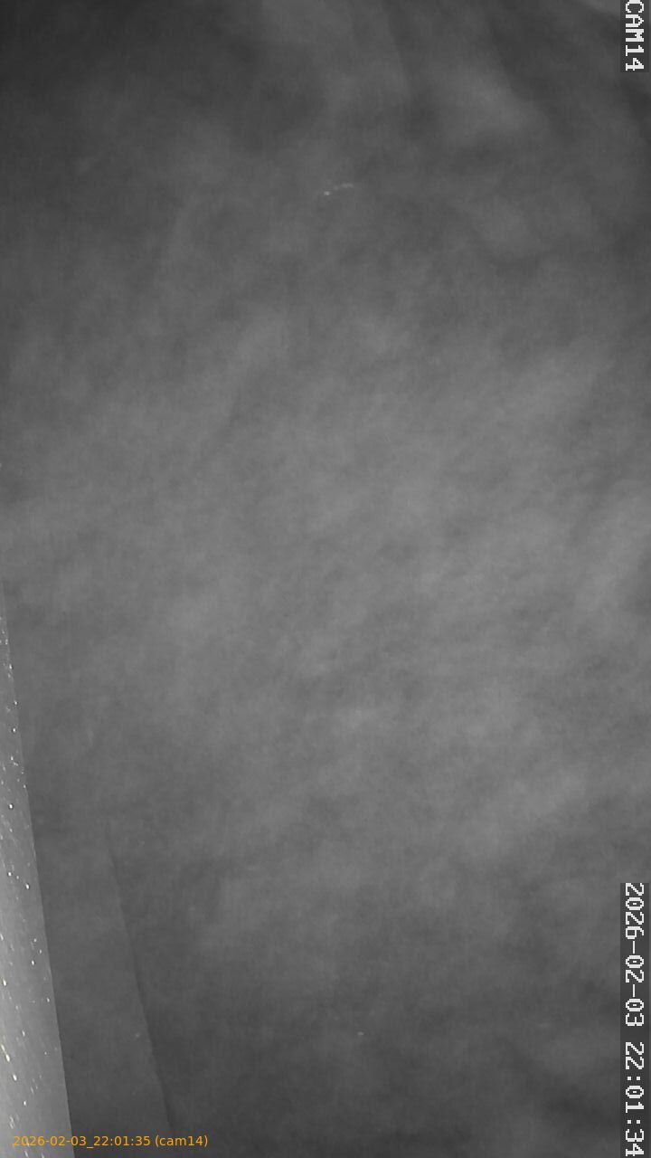 thumbnail_20260203220135