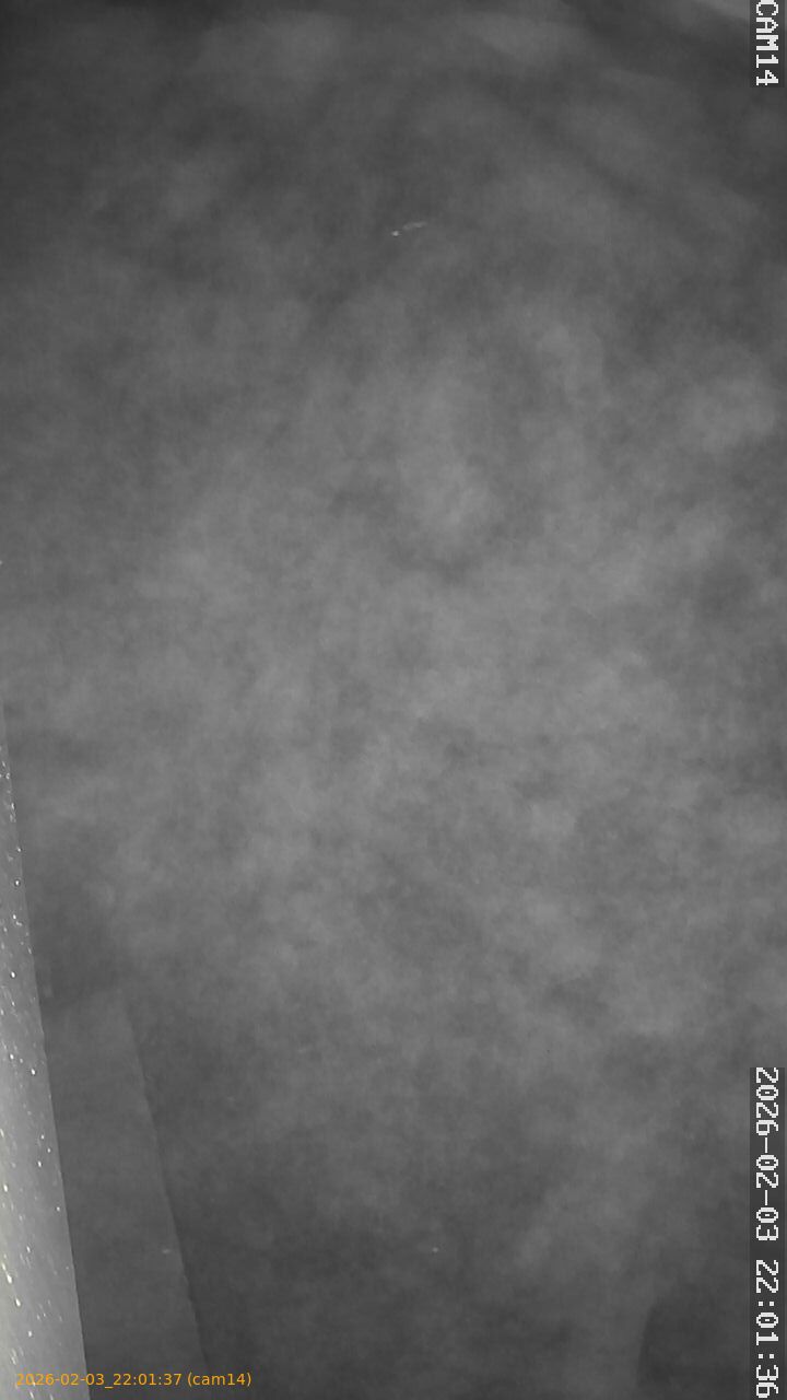 thumbnail_20260203220137