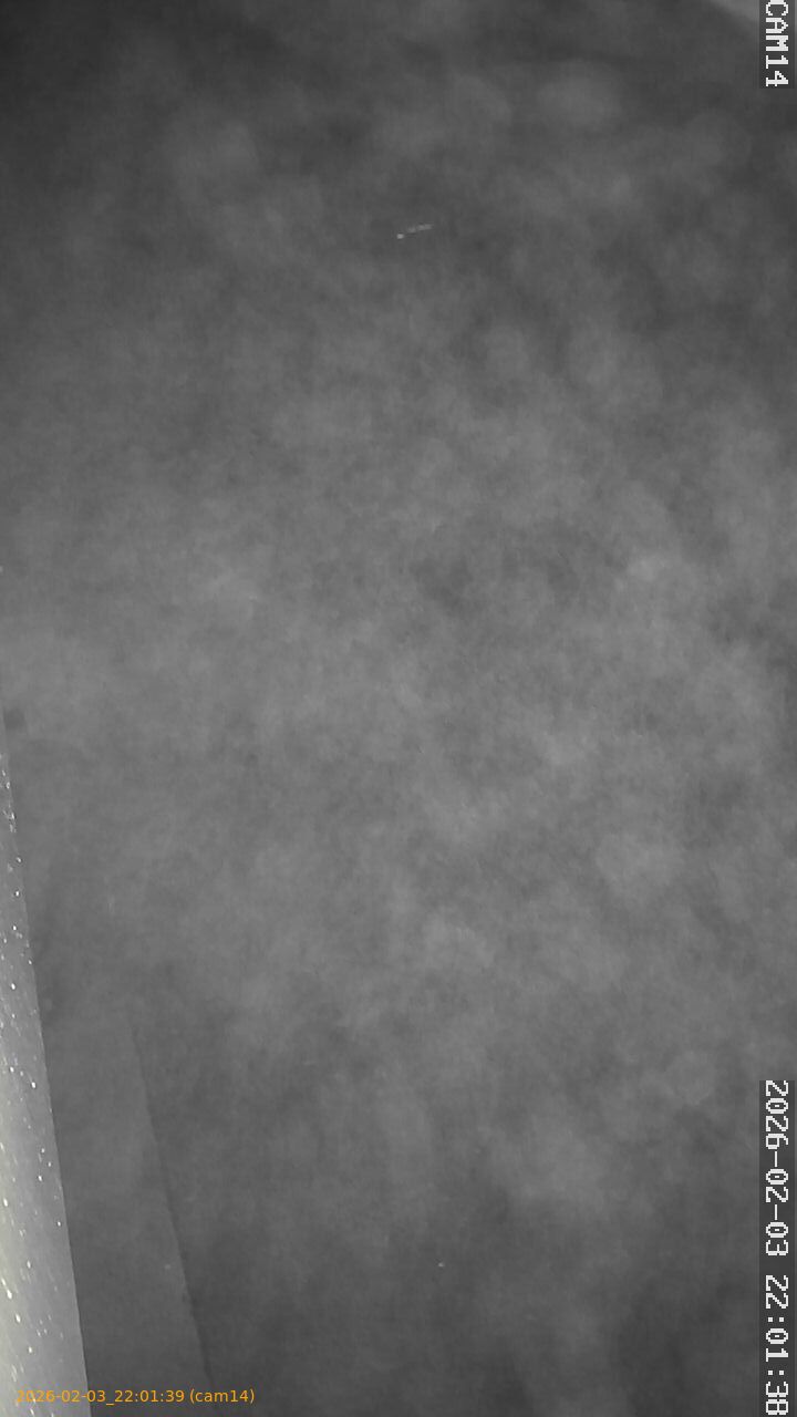 thumbnail_20260203220139