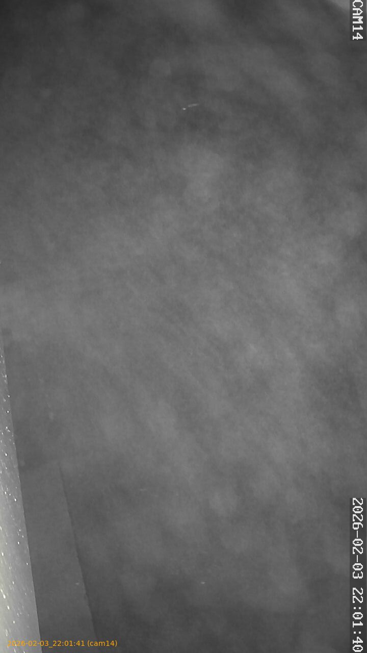 thumbnail_20260203220141