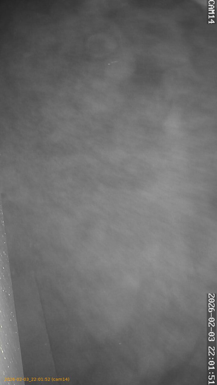 thumbnail_20260203220152