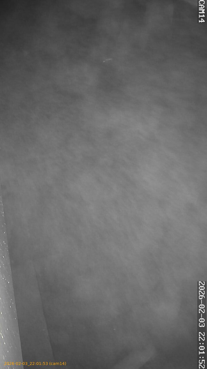 thumbnail_20260203220153