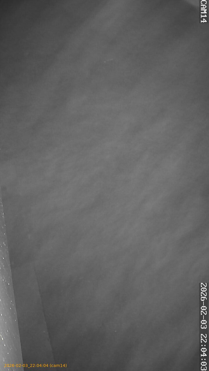 thumbnail_20260203220404