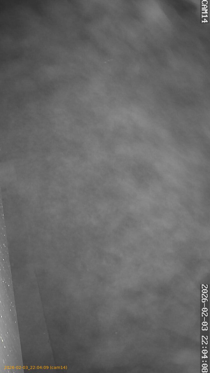 thumbnail_20260203220409