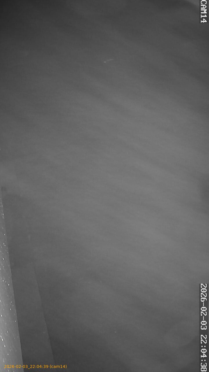 thumbnail_20260203220439