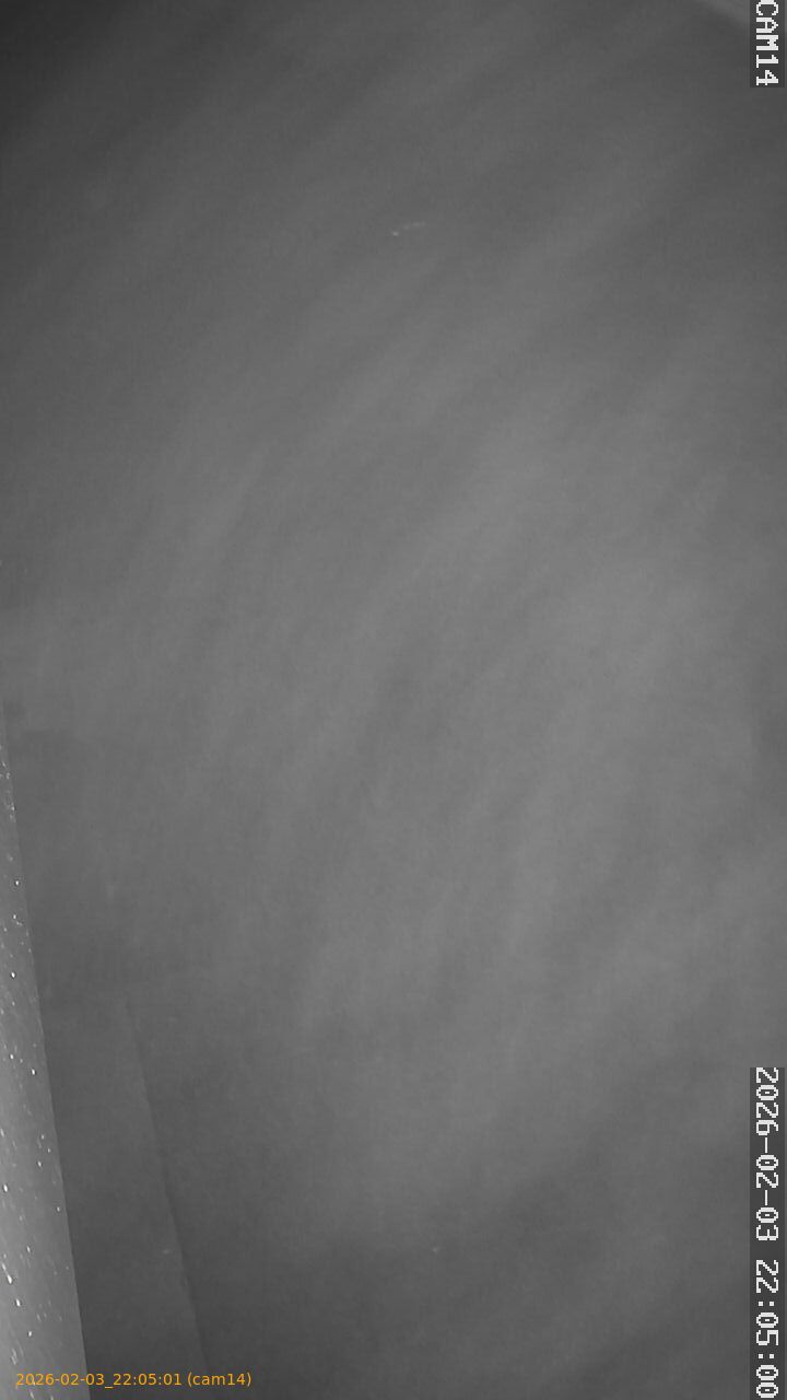 thumbnail_20260203220501