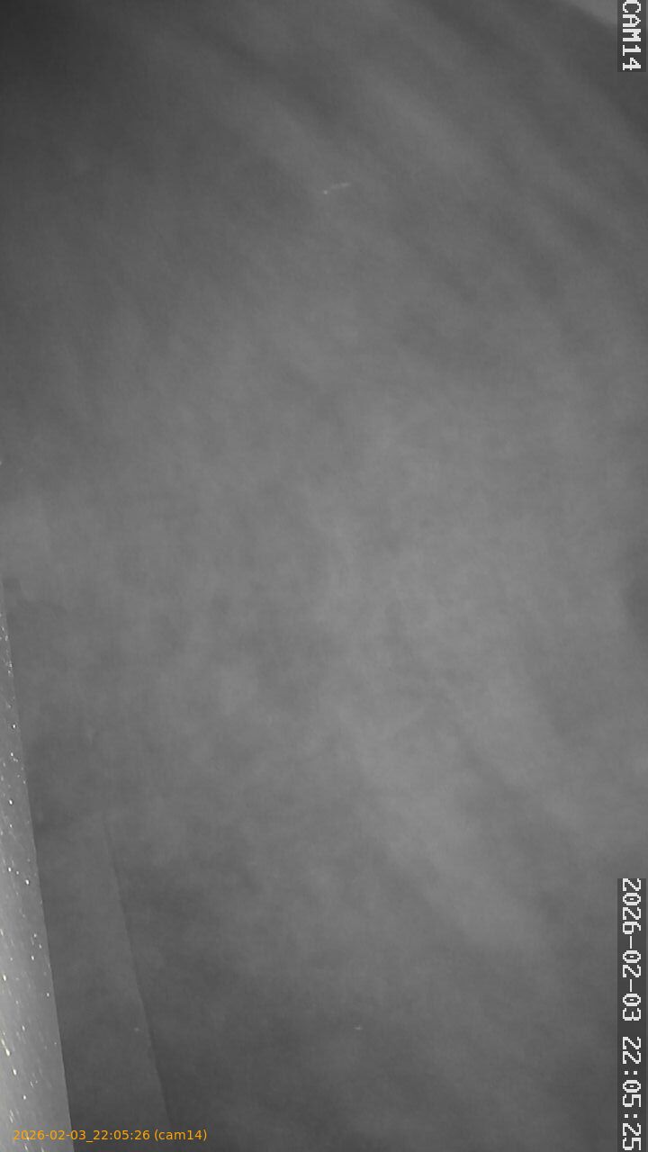 thumbnail_20260203220526