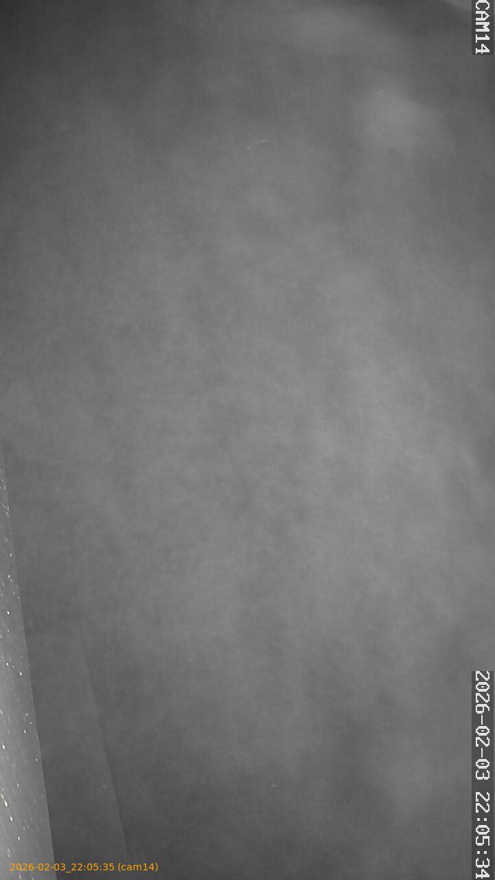 thumbnail_20260203220535