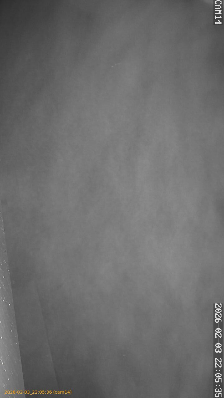 thumbnail_20260203220536