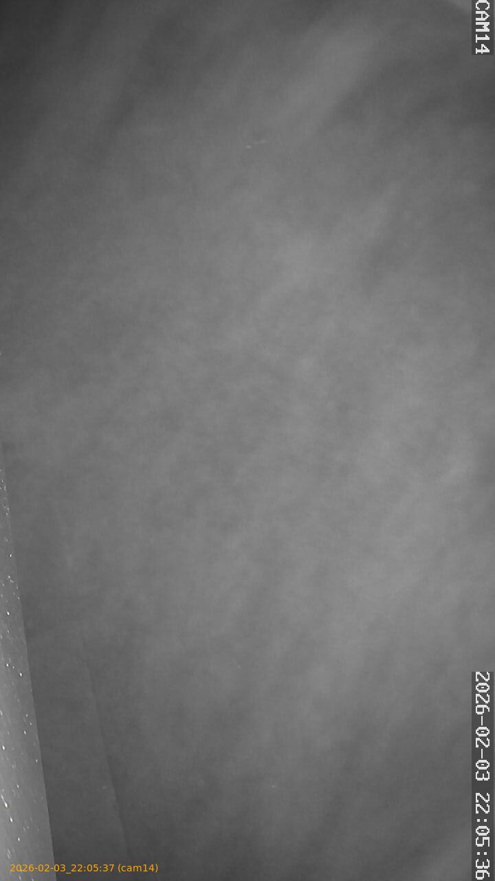 thumbnail_20260203220537