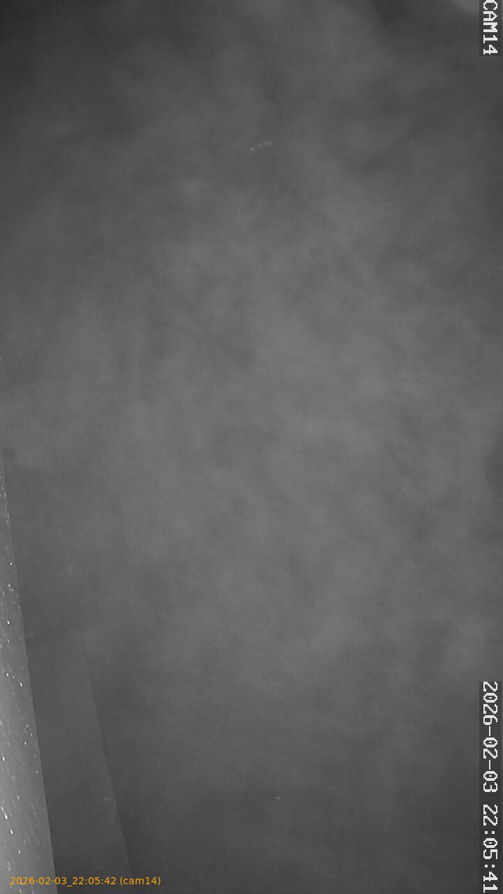 thumbnail_20260203220542