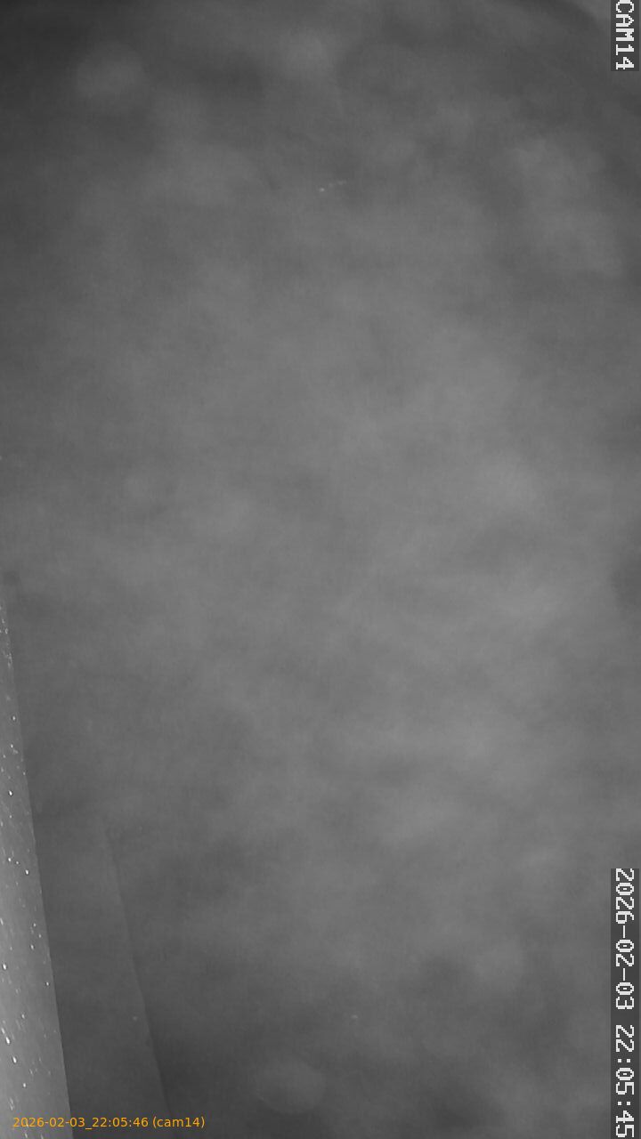 thumbnail_20260203220546