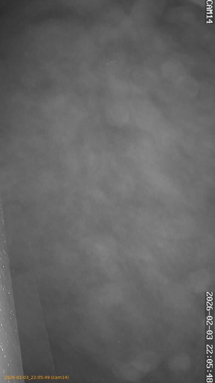 thumbnail_20260203220549