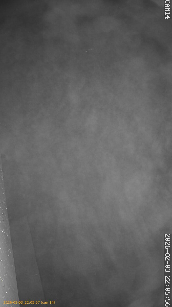 thumbnail_20260203220557