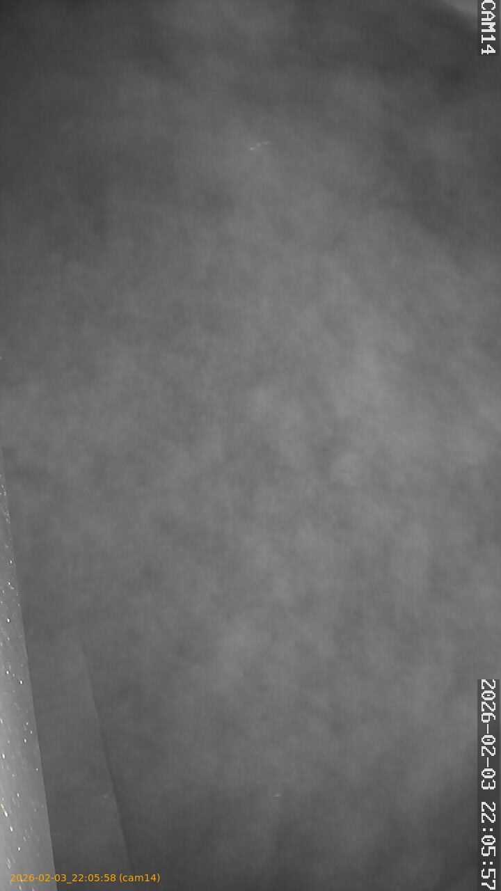 thumbnail_20260203220558