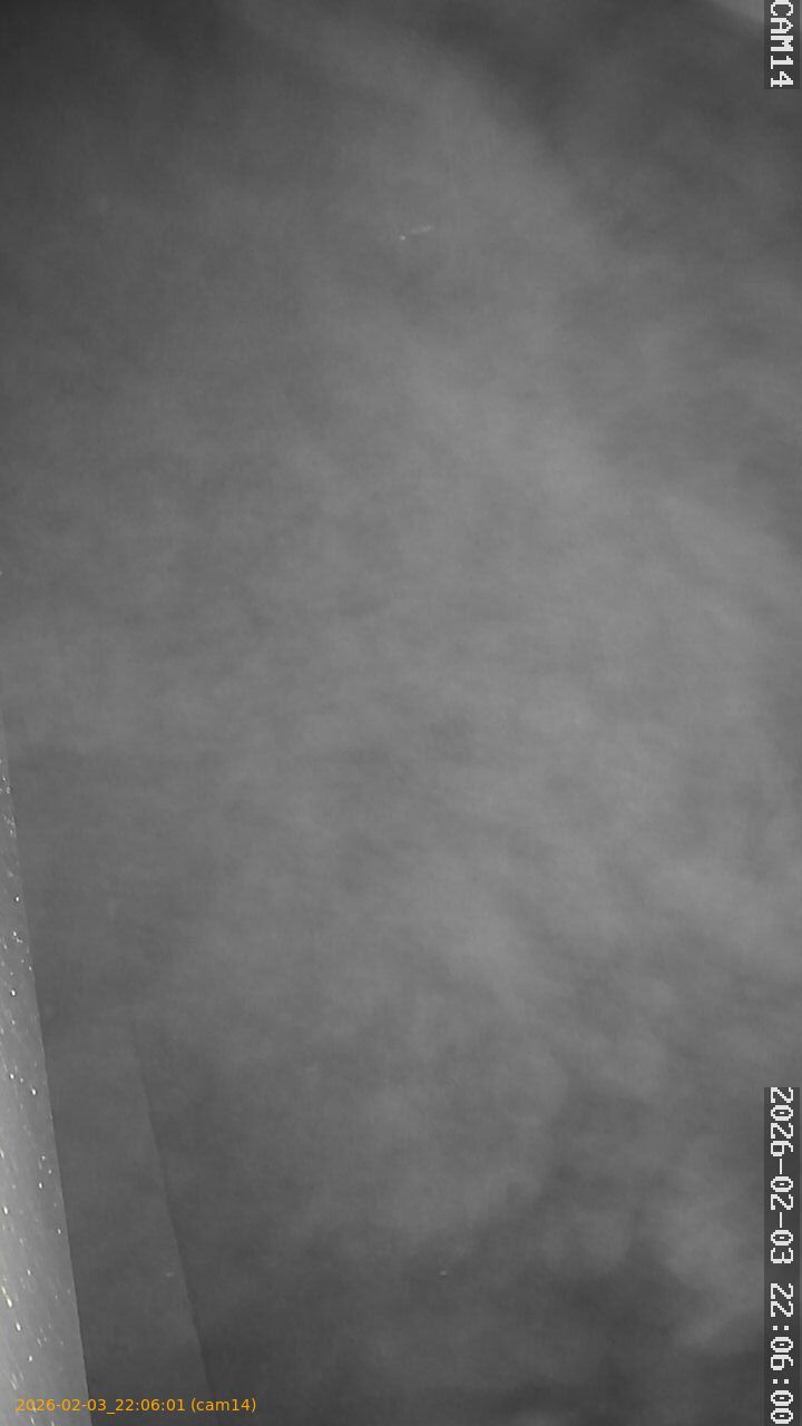 thumbnail_20260203220601