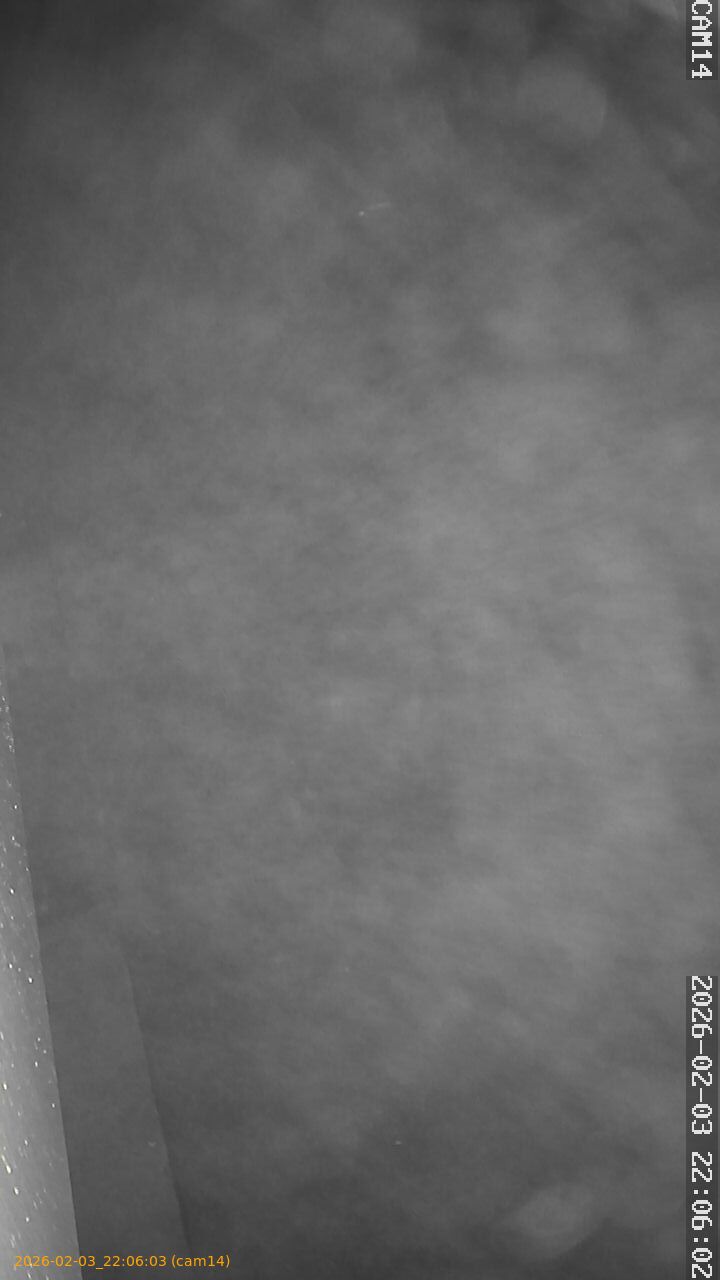 thumbnail_20260203220603