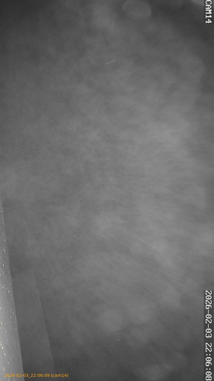 thumbnail_20260203220609