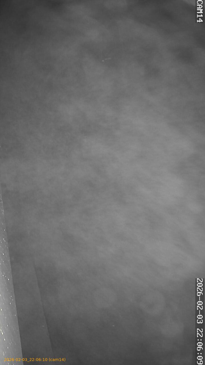 thumbnail_20260203220610