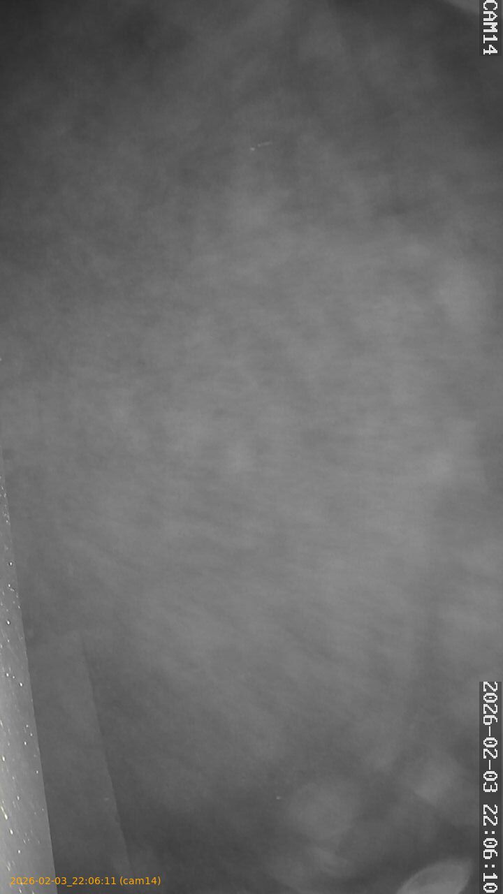 thumbnail_20260203220611