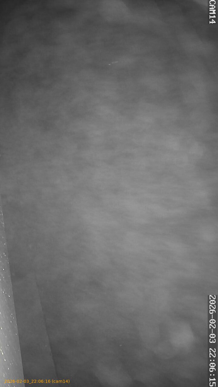 thumbnail_20260203220616