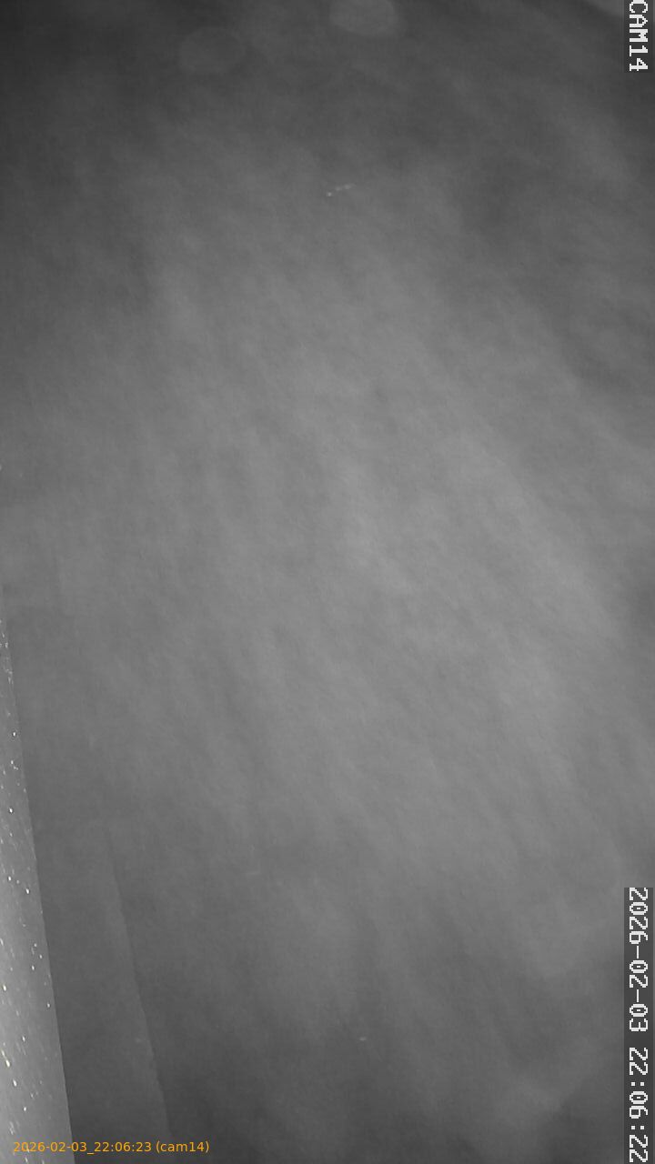 thumbnail_20260203220623