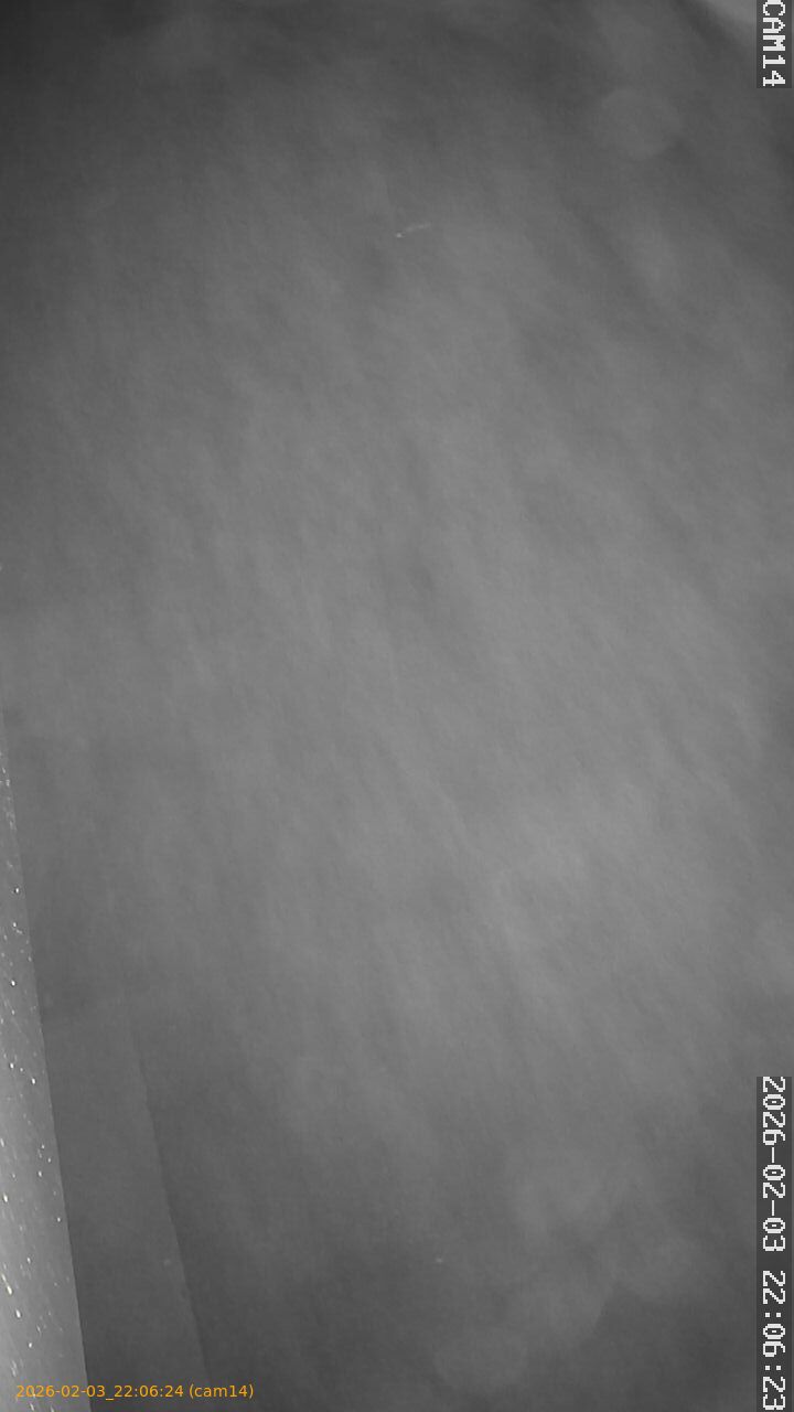 thumbnail_20260203220624