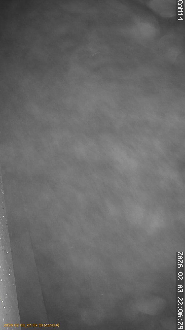 thumbnail_20260203220630