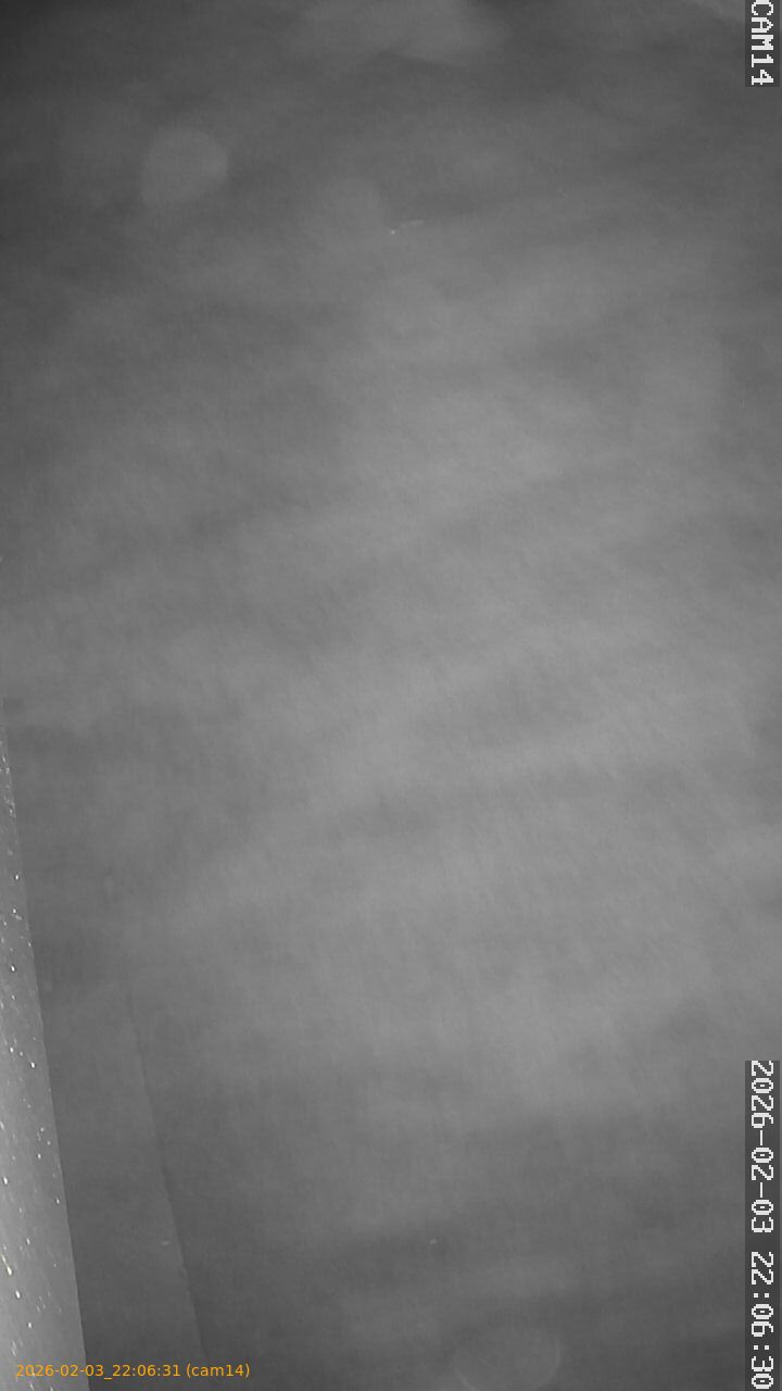 thumbnail_20260203220631