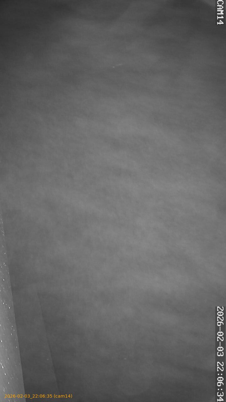 thumbnail_20260203220635