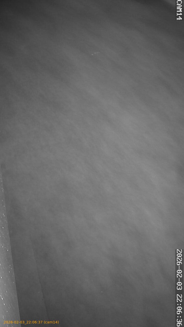 thumbnail_20260203220637