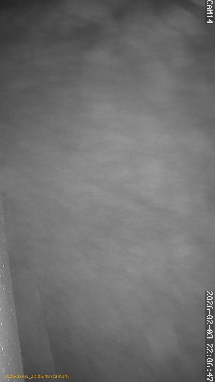 thumbnail_20260203220648