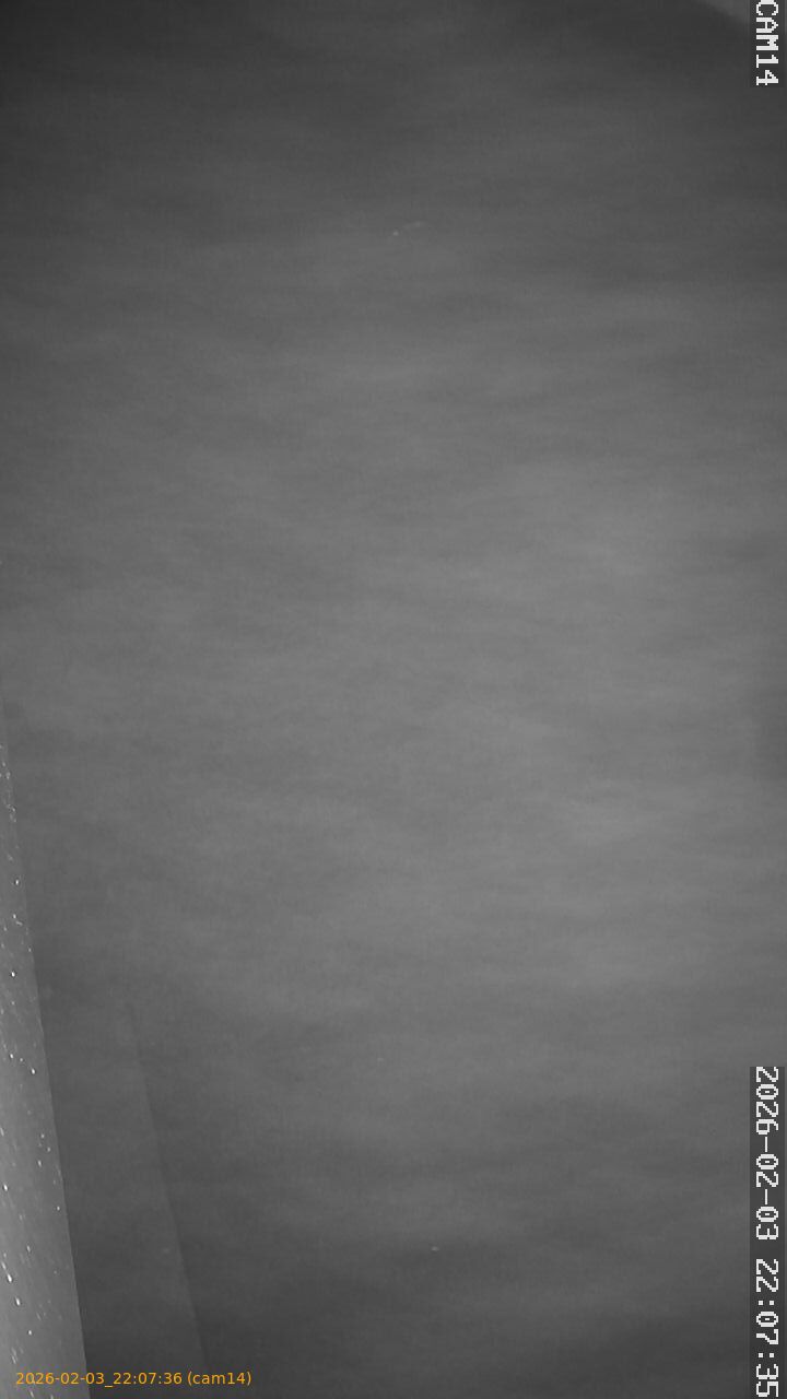 thumbnail_20260203220736