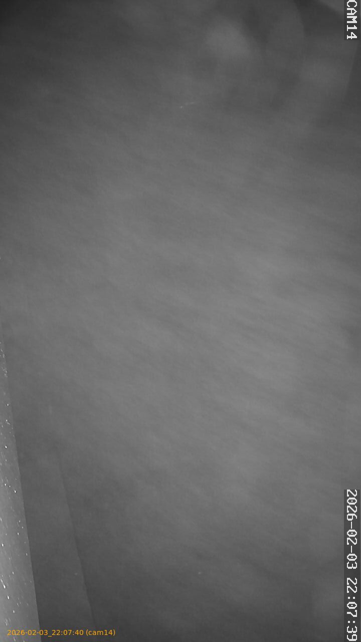 thumbnail_20260203220740