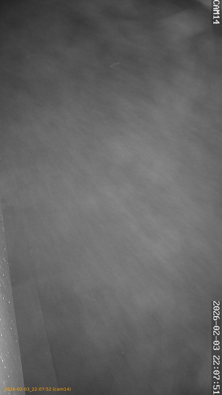 thumbnail_20260203220752