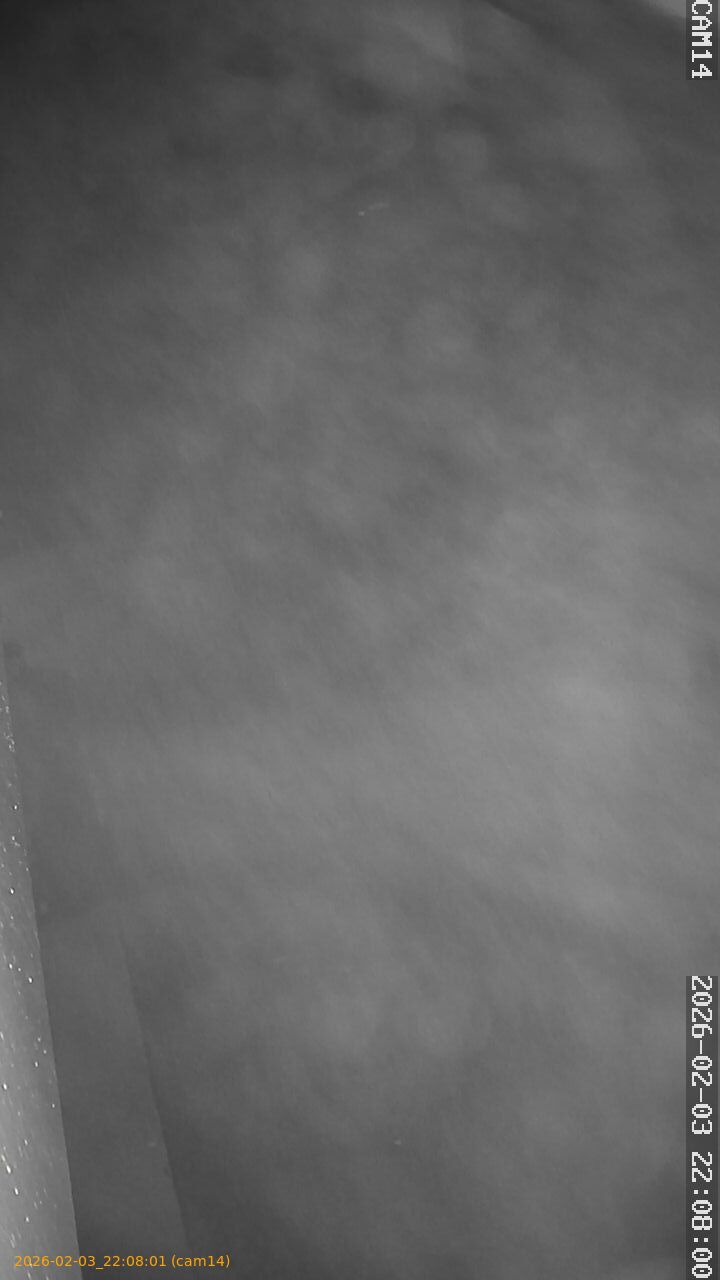 thumbnail_20260203220801