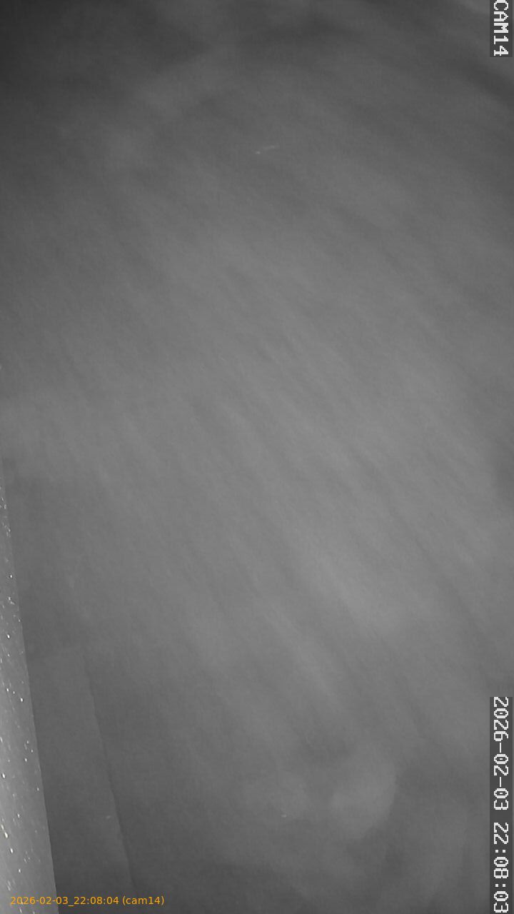 thumbnail_20260203220804