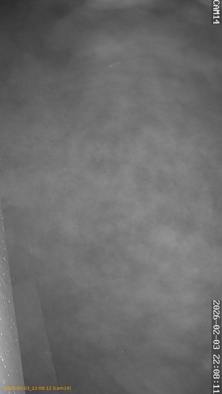 thumbnail_20260203220812