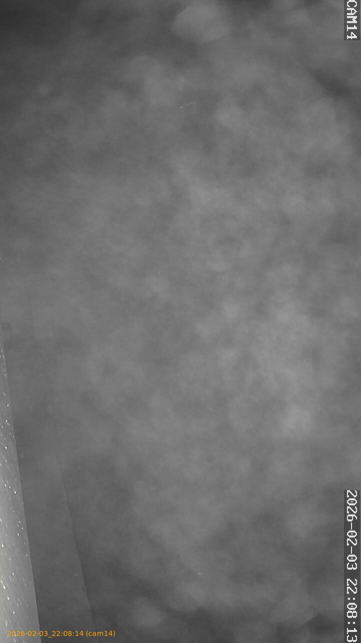 thumbnail_20260203220814