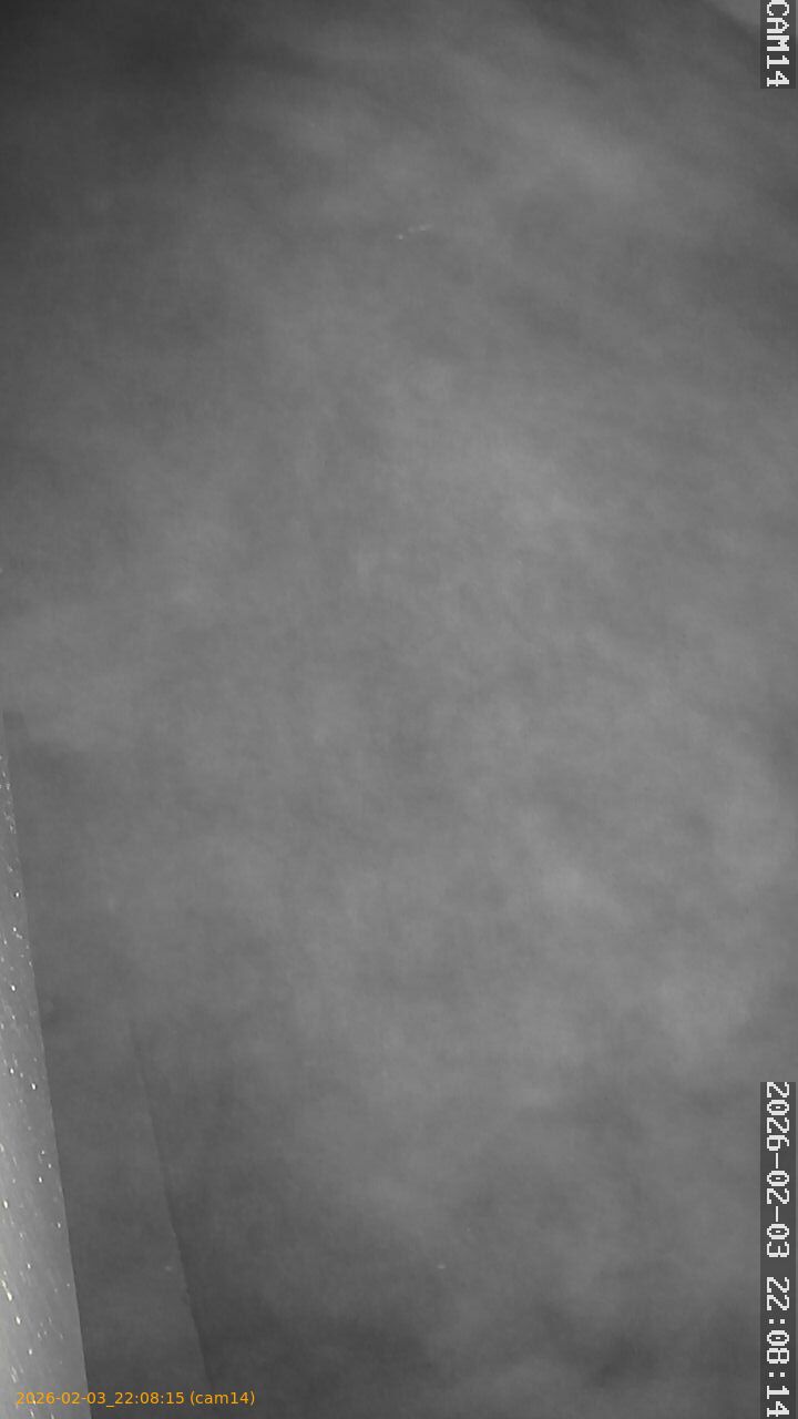 thumbnail_20260203220815